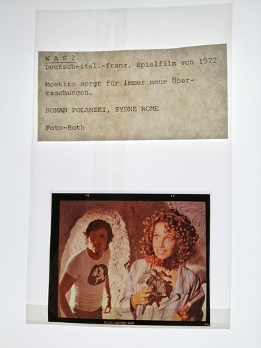 Was roman polanski - was?,