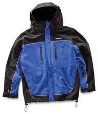 SUZUKI Original Team