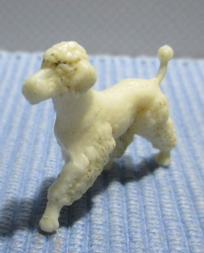 Hund pudel miniatur vintage - ,