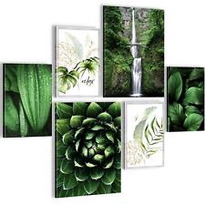 Bilder Set Wohnzimmer Grüne Blätter Pflanze AUFHÄNGFERTIG  6 Wandbilder