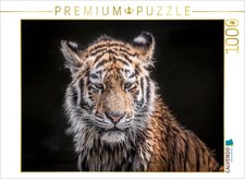 CALVENDO Puzzle Ein junger