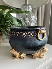 Tk Maxx Halloween Frosch