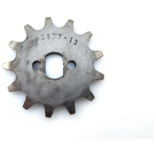 Esjot ritzel zähne oval - ritzel, 13