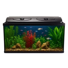 Aquarium rechteckig 80x35x40