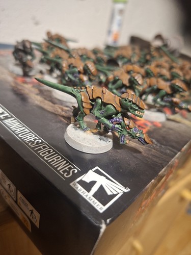 Warhammer 40k tyraniden - 40k, 12