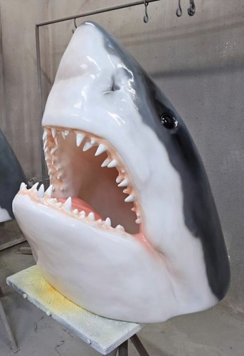 Haikopf weiße haifisch - weiße, kopf