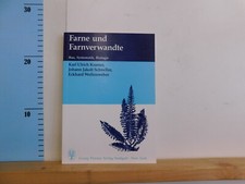 Farne und farnverwandte karl - farnverwandte,