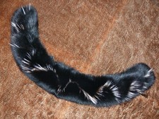 Blaufuchskragen Neu!