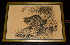 Wildkatze, Zeichnung, Bilder