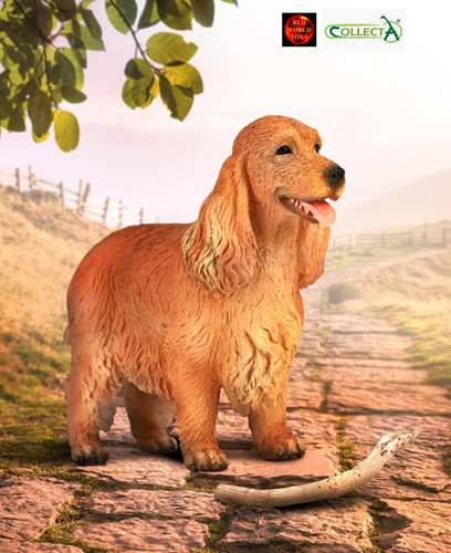 English cocker spaniel - english,