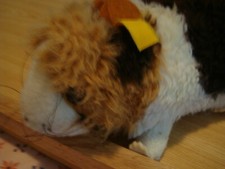 Steiff Tier Meerschweinchen