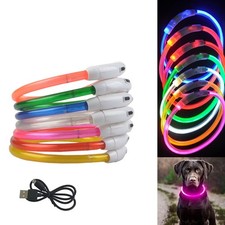 Leuchtendes LED-Hundehalsband
