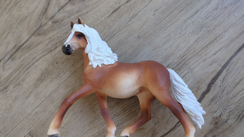 Andalusier stute - andalusier,