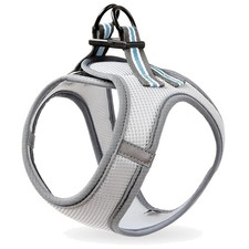 Hundegeschirr Kleine Hunde