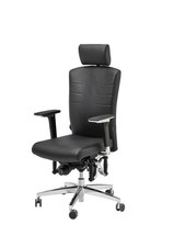 Haider Bioswing Bürodrehstuhl 560 IQ Leder Sofort Lieferbar