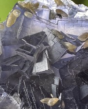 Seltener Fluorit (Pakistan) Kristall Edelstein Stufe  für Mineralien Sammlung