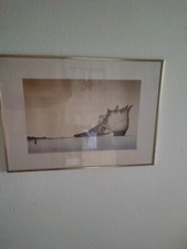 Aquarell Wolf Spieß Danas