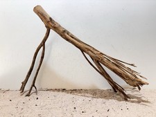 Talawa Wurzel XXL ähnlich