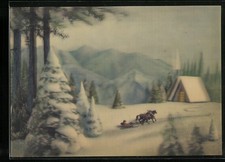 3D-AK Pferdeschlitten im verschneiten Wald 