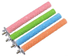 Vogel Haustier Papagei