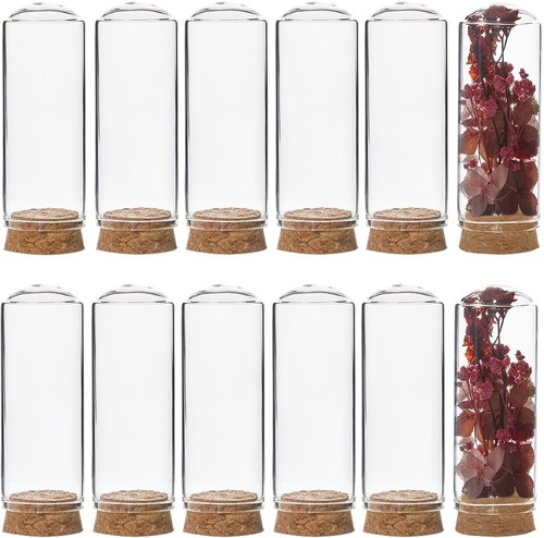 Stück mini glasglocke mit - mini,