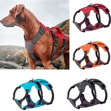 Neue Sicherheitsgeschirr