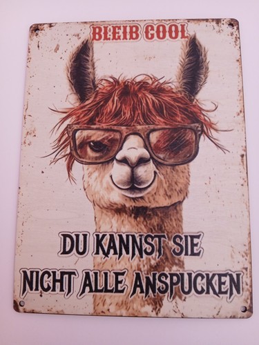 Holzschild mit spruch neu - mit,