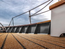 Bootsteppich Bodenbelag