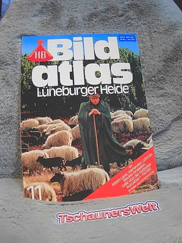 Lüneburger heide mit altem - lüneburger,
