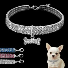 Chihuahua Halsband Strass