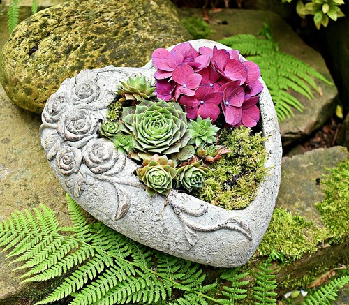 Pflanzschale herz rosen - ❀,