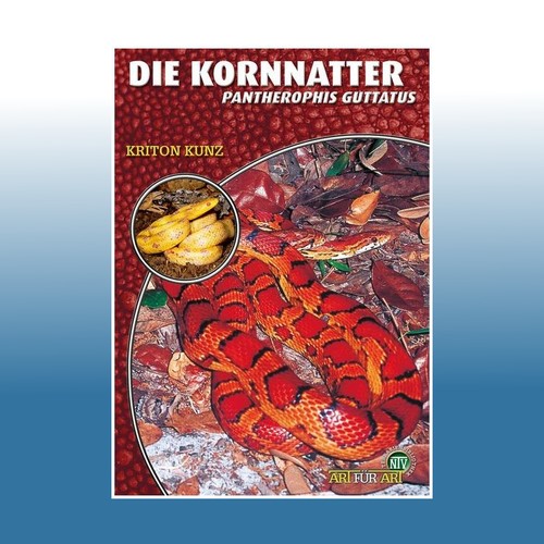 Die kornnatter kriton kunz - |,