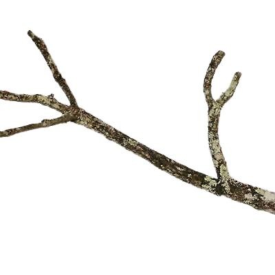 Korkast 90cm für - korkast, ca.