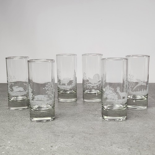 Longdrink schnapsgläser set - schnapsgläser,