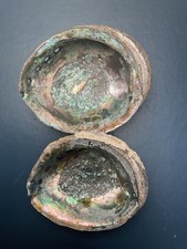 Zwei Abalone Muscheln natur Meerohr Perlmutt Seifenschale Schmuckschale Räuchern