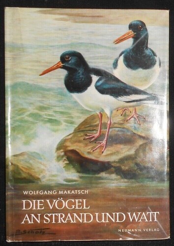 Die vögel strand und - und, watt