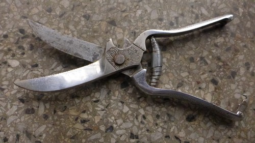 Geflügelschere mit adlerkopf - geflügelschere,