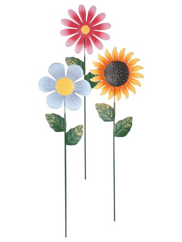 Auffällige sonnenblume garten - auffällige,