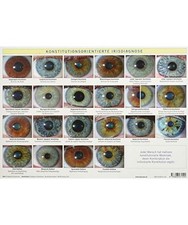 Konstitutionsorientierte Irisdiagnose: A4 Tafel, Friedemann Garvelmann