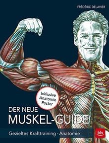 Der neue muskel guide - muskel,