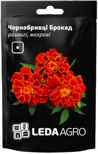 Tagetes Brokad Gefüllt Samen