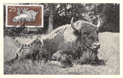 871266 ddr fdc maximumkarte - ddr,