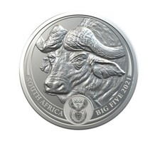 Buffalo South Afrika 1 Oz