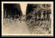 Foto, WW2, Polen 1944