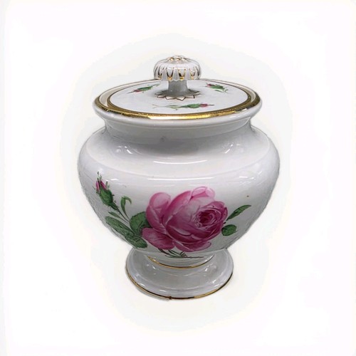 Meissen wildrose rote rose - meissen,