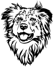 Australian shepherd aufkleber - australian,