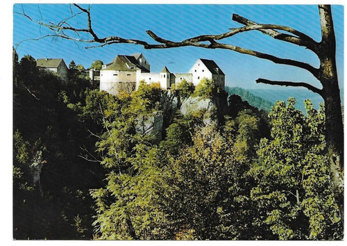 7burg wildenstein - (1),