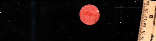 Siegel - (c6833401a512),