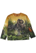 molo Langarmshirt Jungen