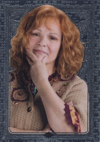 Panini harry potter magical - panini,